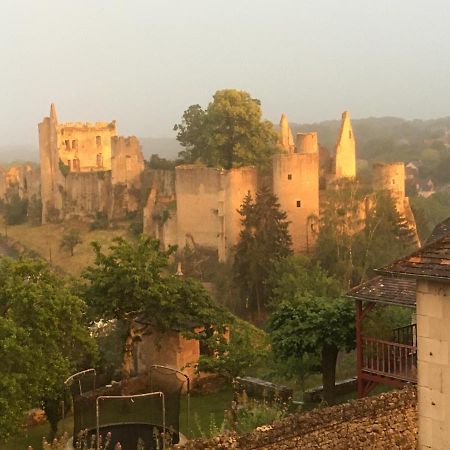 Chez Fred Avec Vue Sur Le Chateau Angles-sur-lʼAnglin Εξωτερικό φωτογραφία
