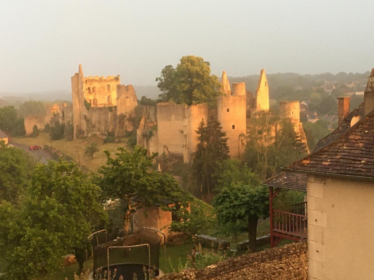 Chez Fred Avec Vue Sur Le Chateau Angles-sur-lʼAnglin Εξωτερικό φωτογραφία